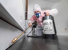 Best Fumigation Services  in Hastings On Hudson, NY